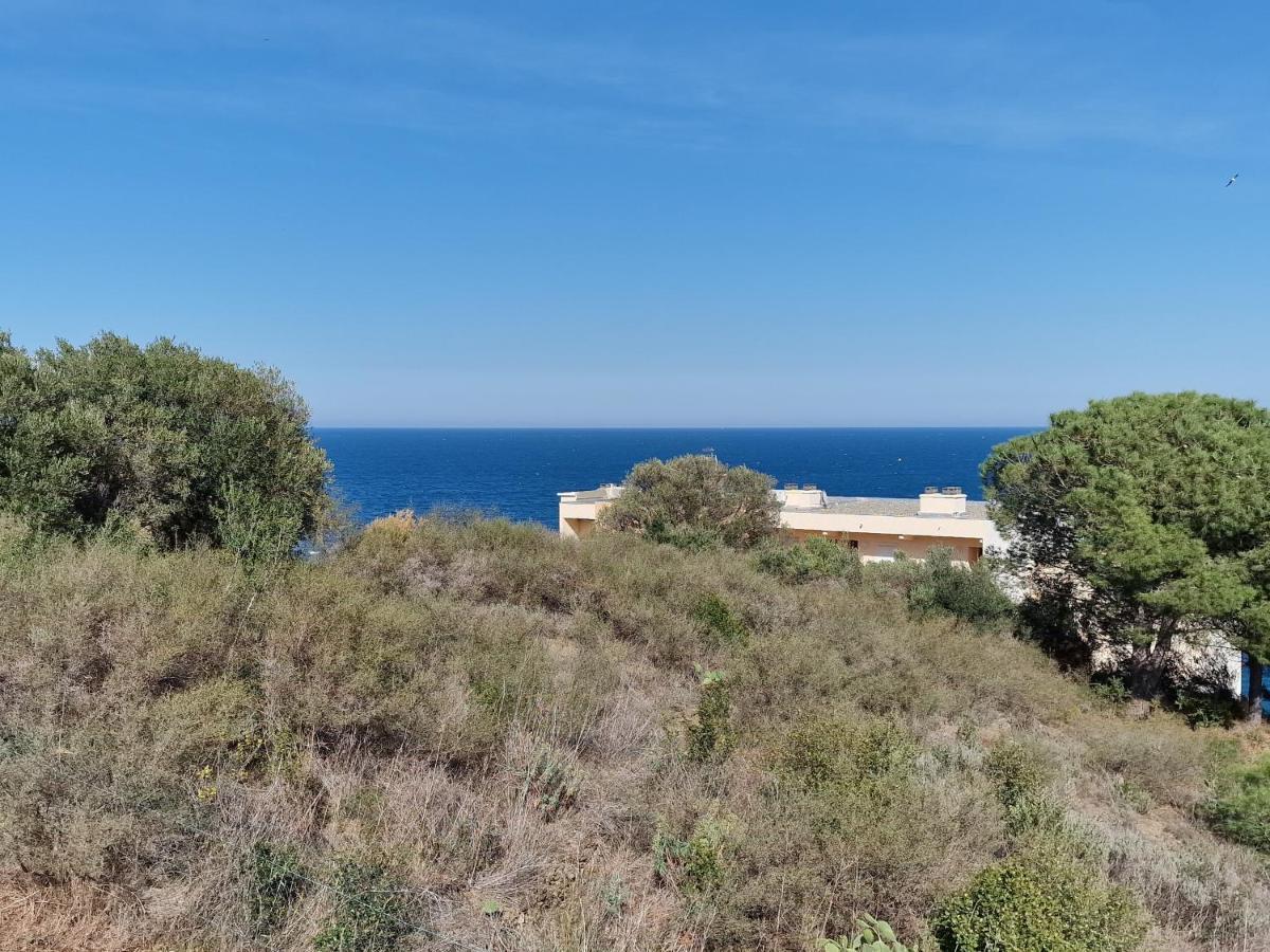 Appartement Avec Terrasse, Wifi, Parking Prive, A 2Min De La Plage Des Elmes - Banyuls-Sur-Mer - Fr-1-309-130 エクステリア 写真